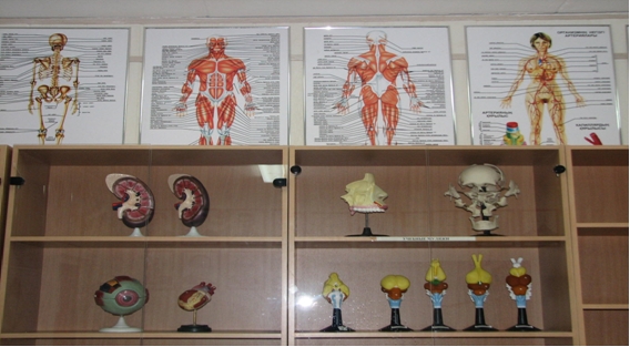 Голая пышка в кабинете анатомии 