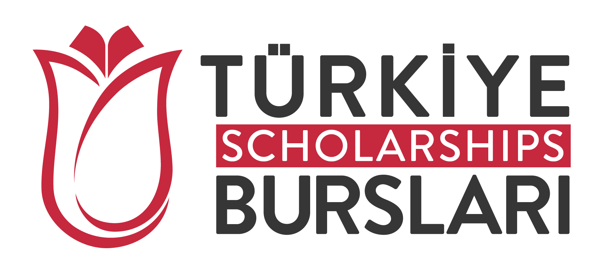 Türkiye Scholarships